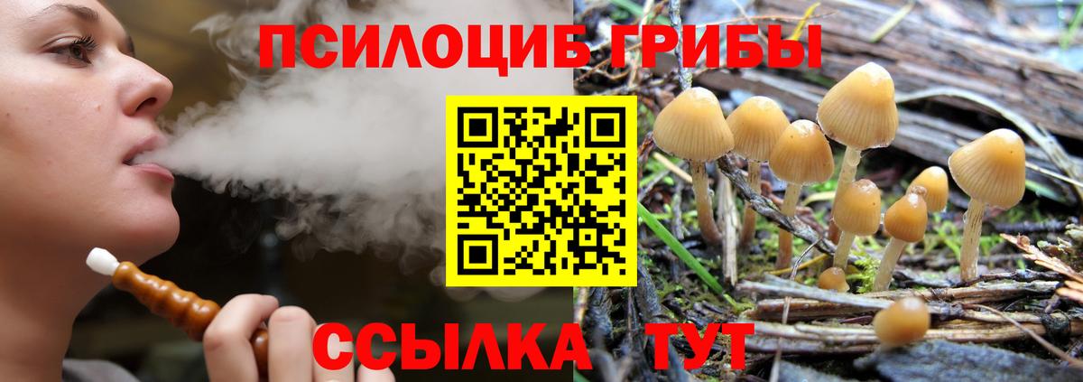 Псилоцибиновые грибы мухоморы  Псилоцибиновые грибы Magic Shrooms  Краснодар  магазин продажи   Вход с VPN 
